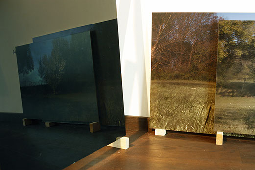 Mirroring Landscapes Imprinted Memory by Michaela Putz for LIQUID LANDSCAPES by 280A Artspace