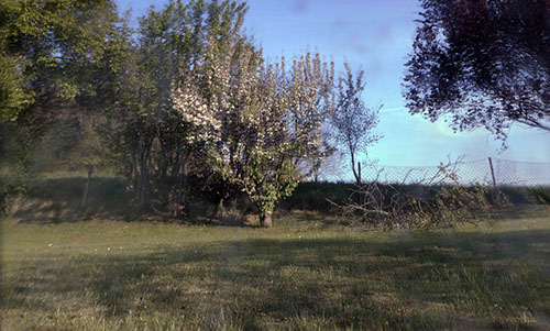 Photographies of the hill behind the house