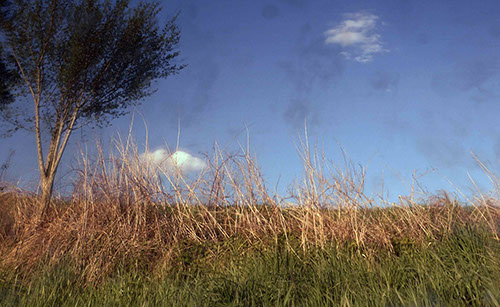 Photography of the hill behind the house for LIQUID LANDSCAPES by 280A