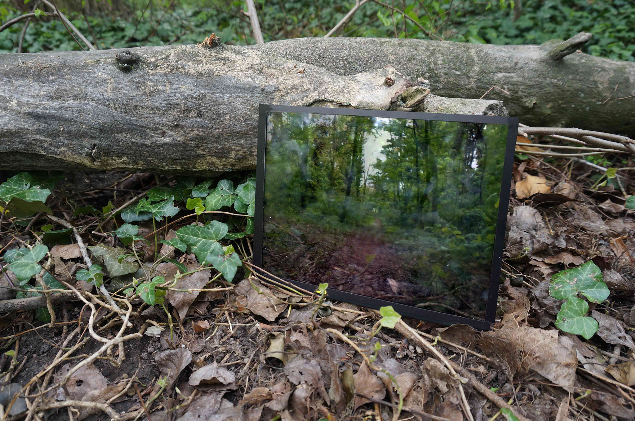 Photography by Michaela Putz for LIQUID LANDSCAPES by 280A Artspace