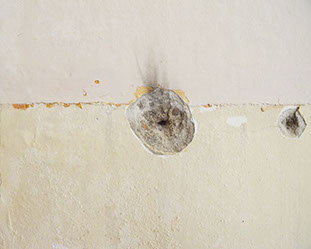 Panopticon #9, Michaela Putz 2012
