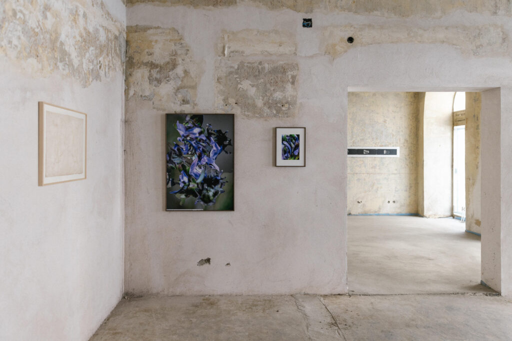 Exhibition views "Between Light & Shadow" (c) Theresa Wey