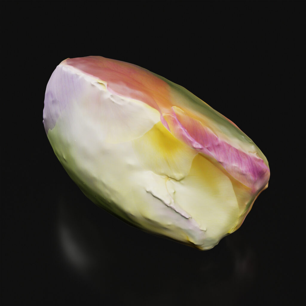 Postfactual Seeds, Pigment Print on Hahnemühle, 25 x 25 cm, 2026