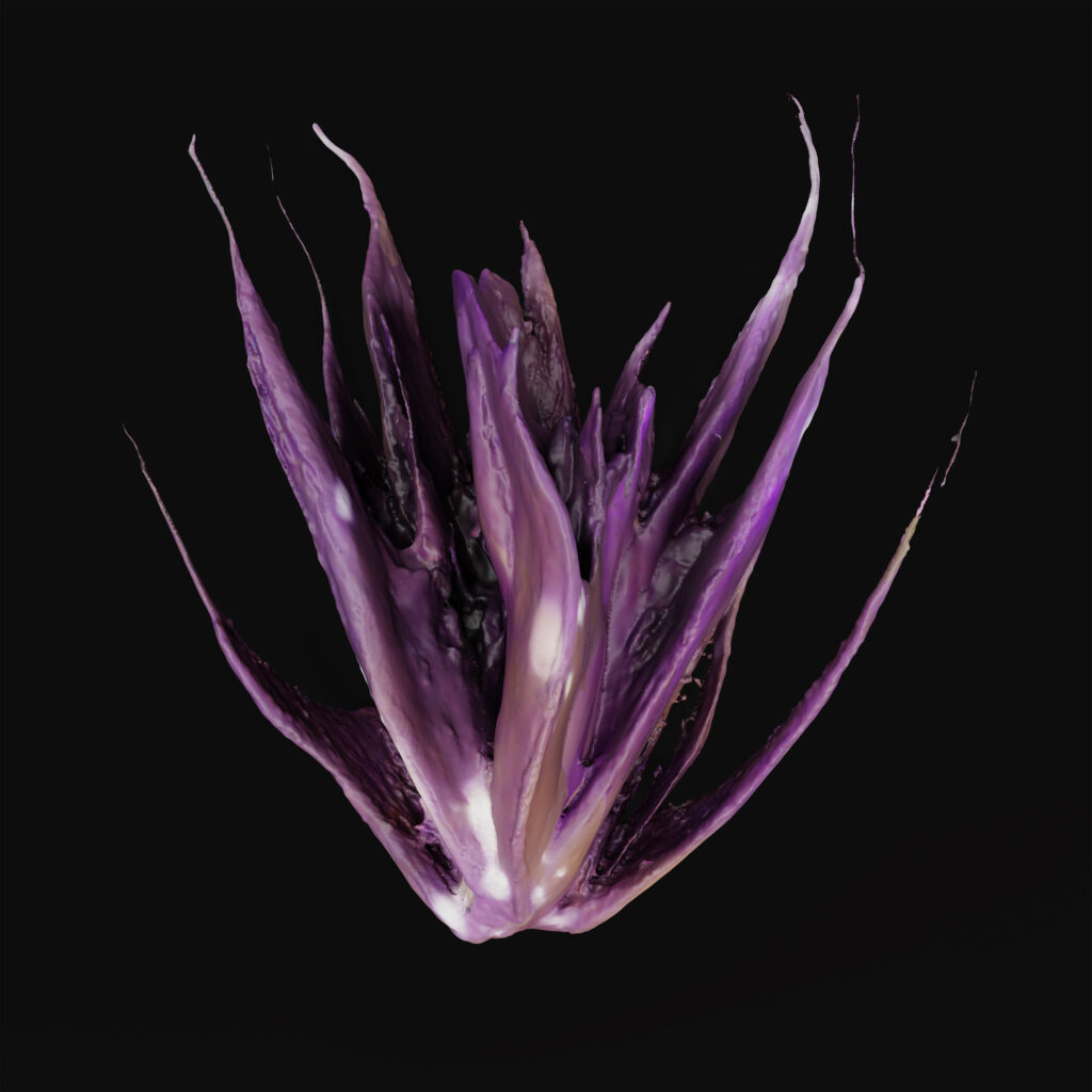 Postfactual Seeds, Pigment Print on Hahnemühle, 25 x 25 cm, 2026