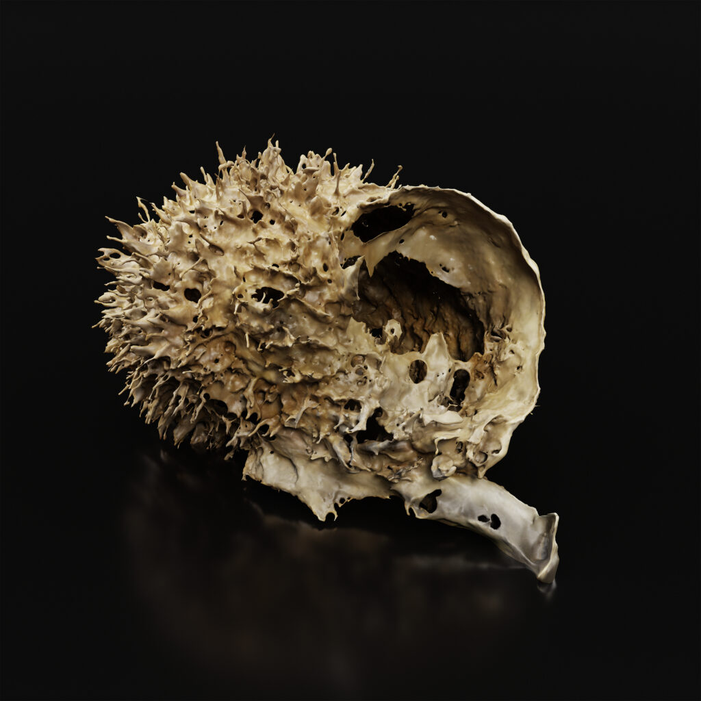 Postfactual Seeds, Pigment Print on Hahnemühle, 25 x 25 cm, 2026