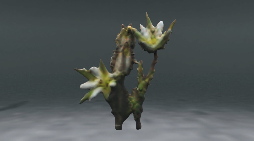 Videostill, Phantom of a Garden (c) Michaela Putz, Multinode Studio