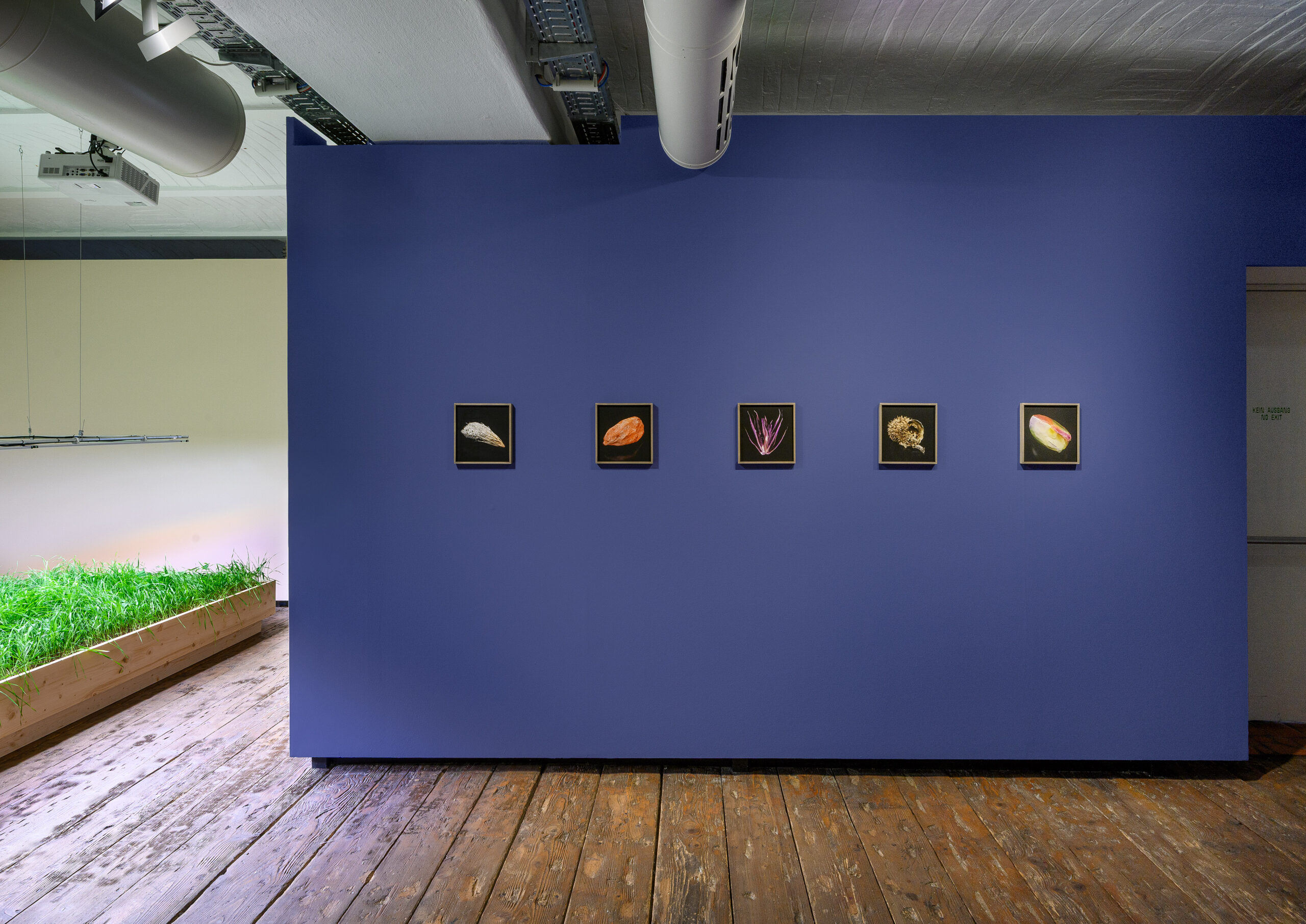Exhibition view Seeds. Reclaiming Roots, Sowing Futures, KunstHausWien 2026 photo: Iris Ranzinger