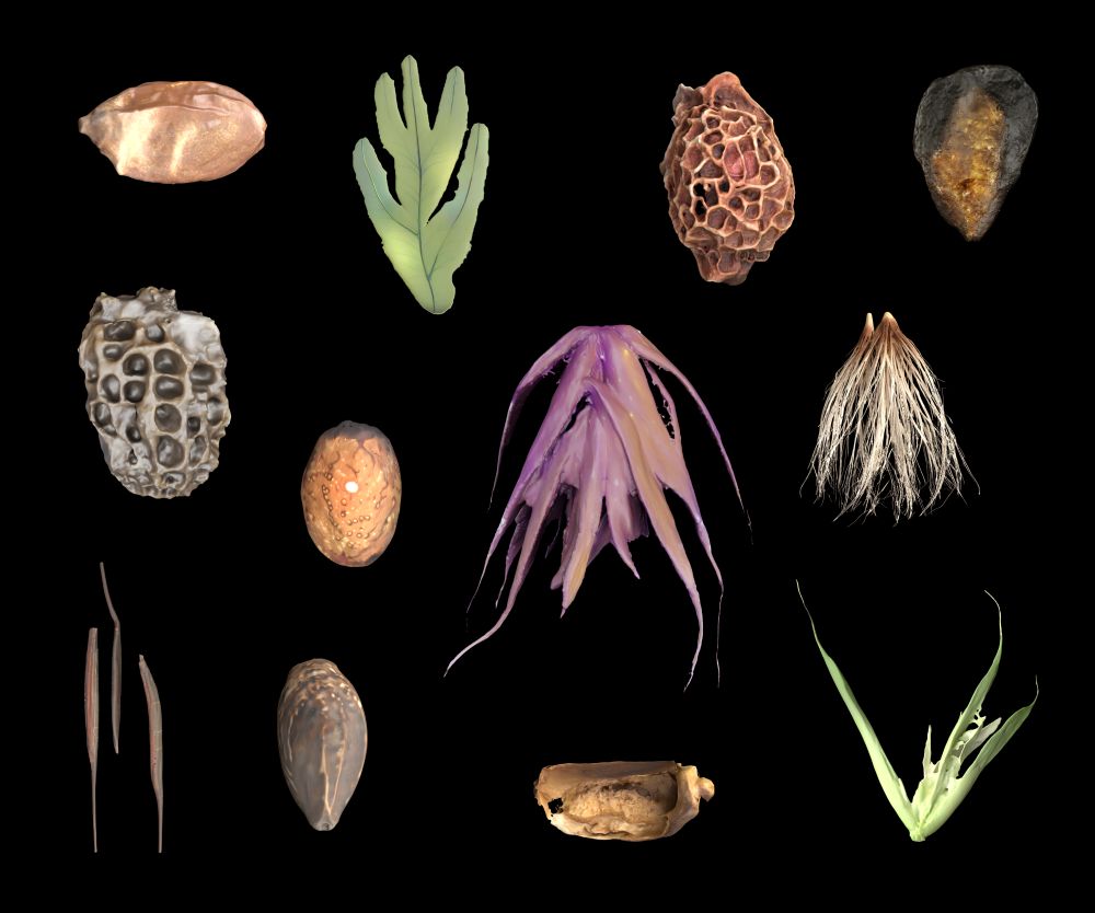 __COLLECTION_SEEDS_100x120-Kopieweb