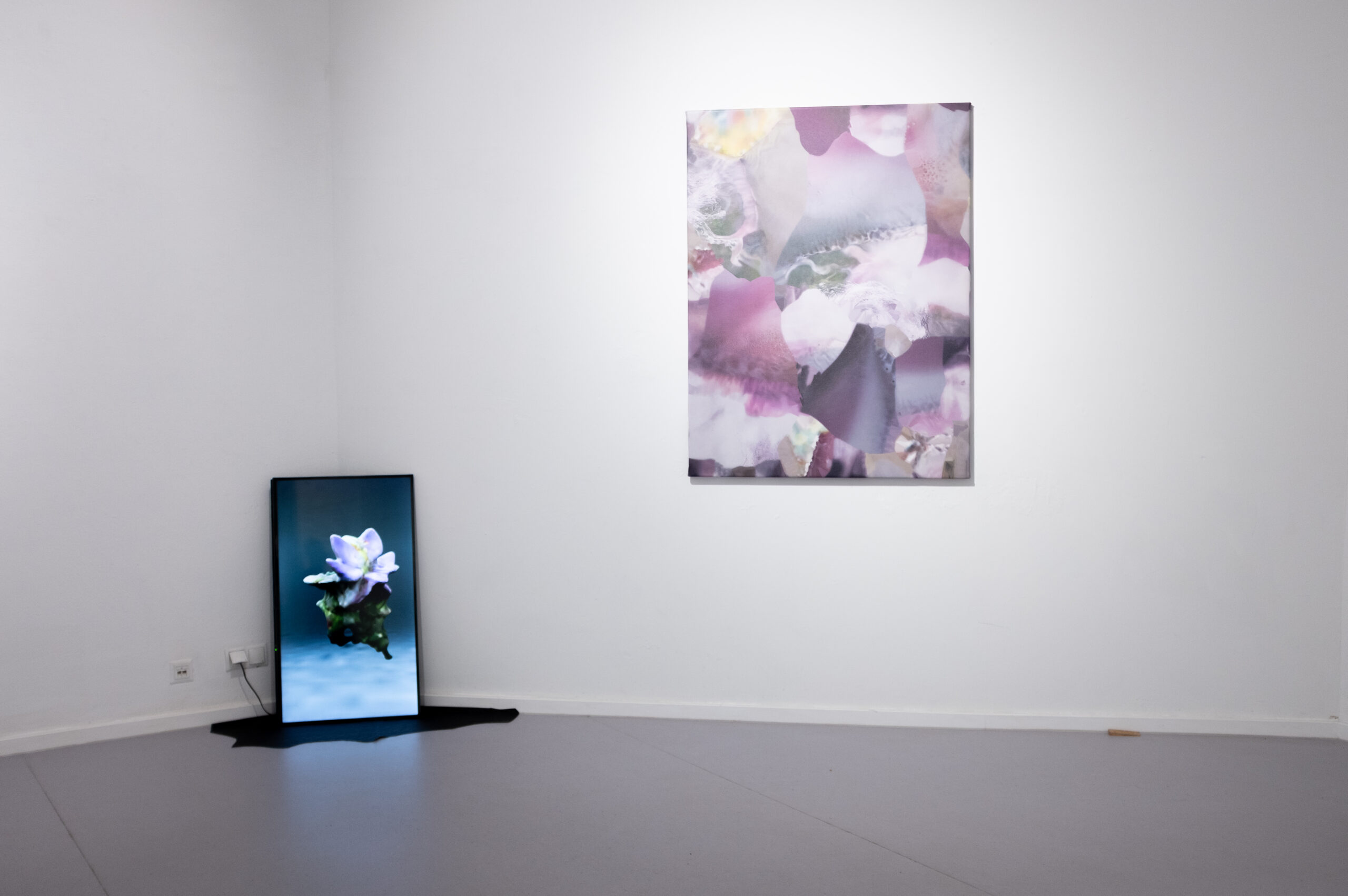 Exhibition view, Michaela Putz, Frappant Gallery Hamburg
