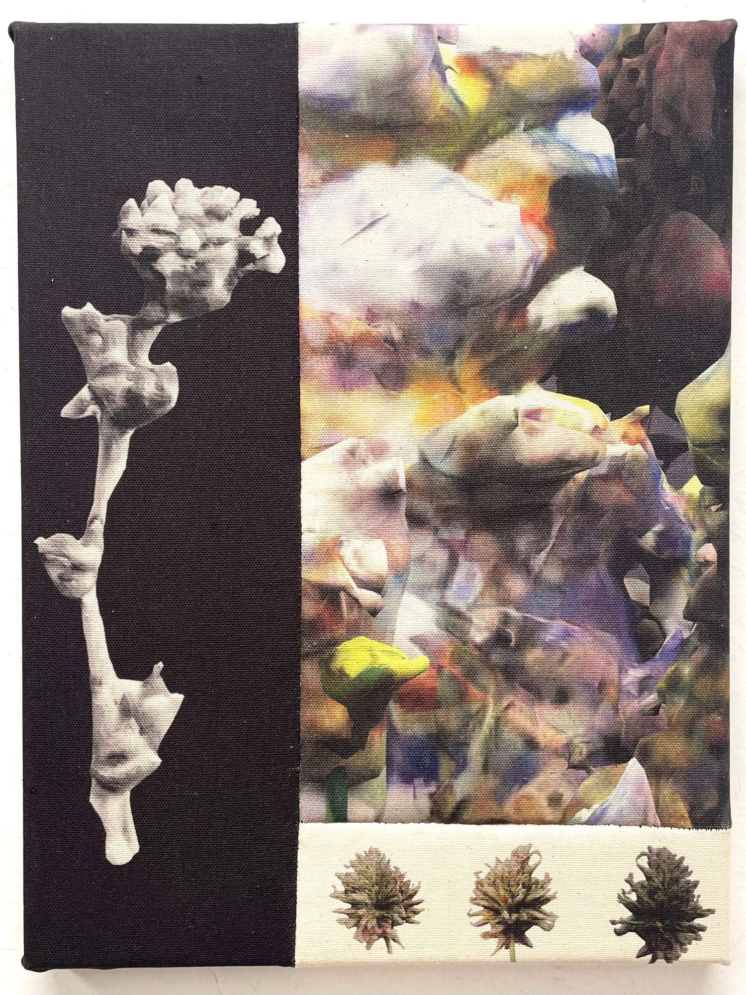 Hybrid Botany, Michaela Putz