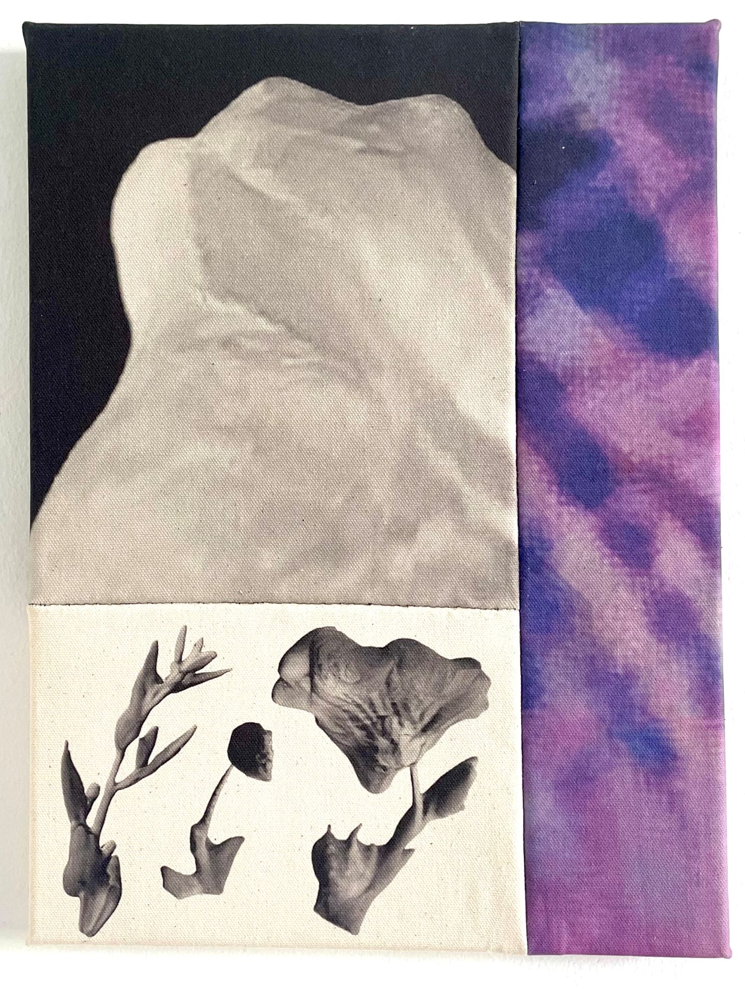 Hybrid Botany, Michaela Putz