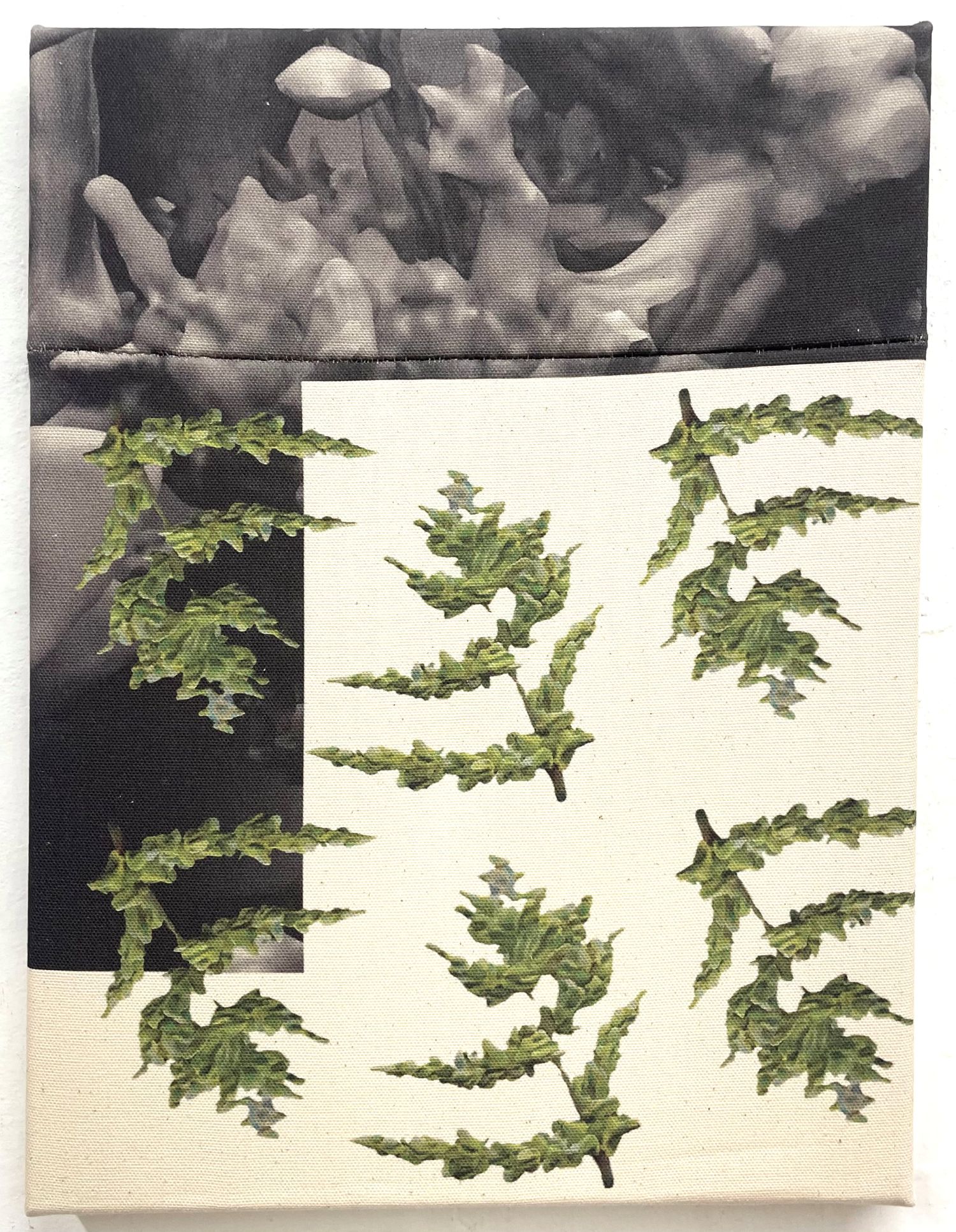 Hybrid Botany, Michaela Putz
